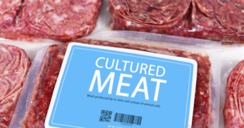JBS: Fleischproduzent steigt in Ersatzmarkt ein (Foto: Shutterstock - Firn)